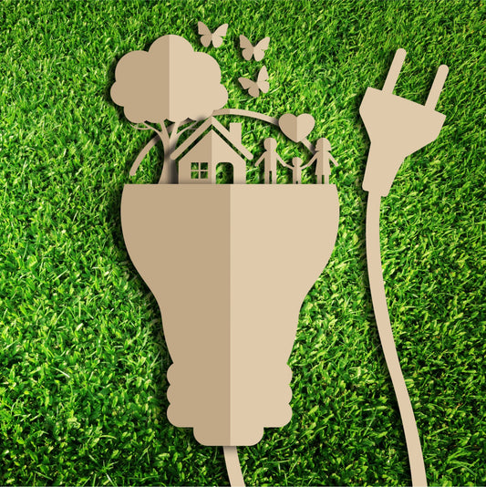 11/4 Going Green & Sustainable Housing - LearnMyWay®